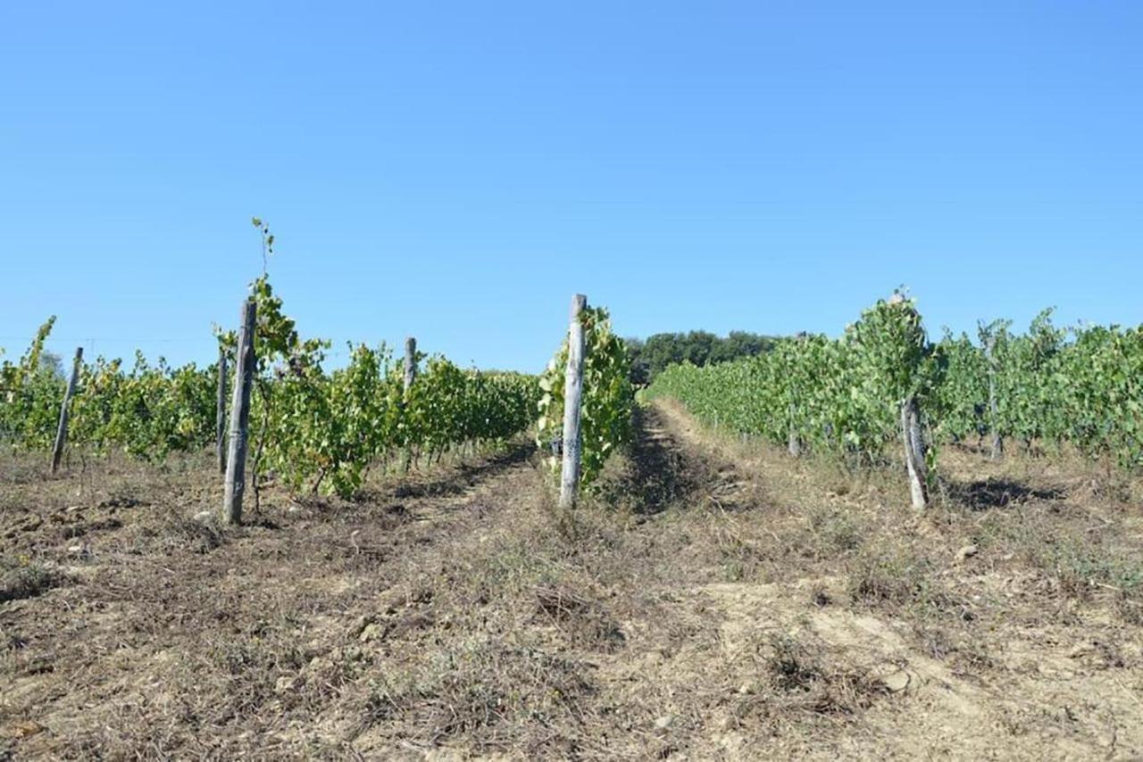 Agriturismo Fattoria Di Statiano Pomarance Εξωτερικό φωτογραφία
